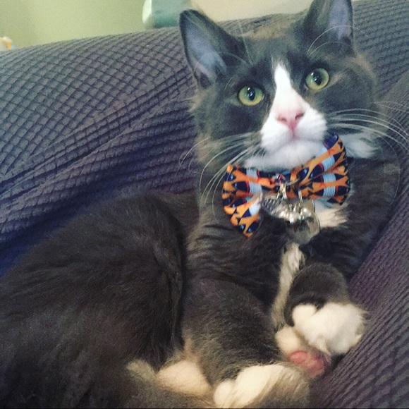 malloryriggins